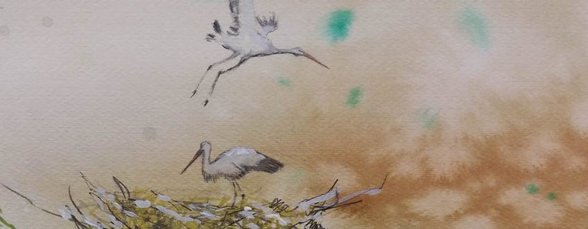 IATEFL Artist in Residence 2018 Emma Louise Pratt